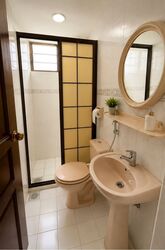 Pandan Valley (D21), Condominium #587726181